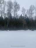 3 MISTY RIDGE ROAD Wasaga Beach