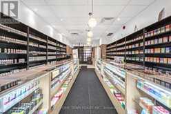 842 DUNDAS STREET W Toronto