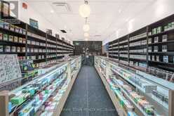 842 DUNDAS STREET W Toronto