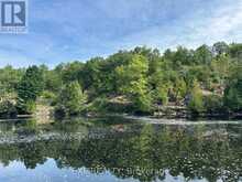 3950 SEVERN RIVER SHORE Gravenhurst