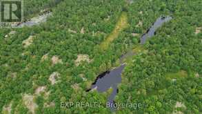 3950 SEVERN RIVER SHORE Gravenhurst