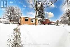 53 APPLEFIELD DRIVE Toronto