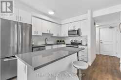 209 - 153 WILSON STREET W Hamilton