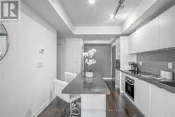 3007 - 21 WIDMER STREET Toronto