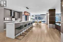 1010 - 399 ADELAIDE STREET W Toronto