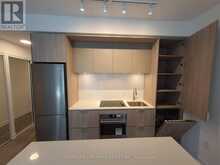 916 - 35 TUBMAN AVENUE S Toronto