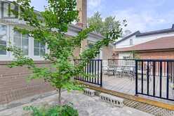 223 WILLOWDALE AVENUE Toronto