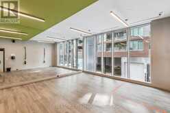 211 - 665 QUEEN STREET Toronto