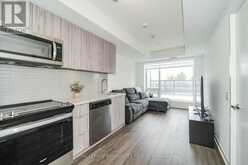 217W - 3 ROSEWATER STREET Richmond Hill