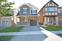 BASEMENT - 16 STEDFORD CRESCENT Brampton