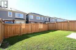 BASEMENT - 16 STEDFORD CRESCENT Brampton