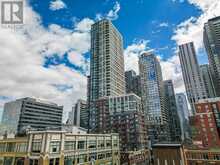 301 - 108 PETER STREET Toronto