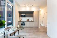 301 - 108 PETER STREET Toronto