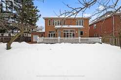 430 HOUNSLOW AVENUE Toronto