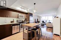 403 - 78 TECUMSETH STREET Toronto