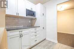 1005 - 420 MILL ROAD Toronto