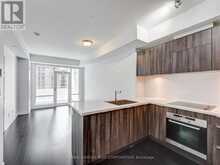 801 - 21 WIDMER STREET Toronto