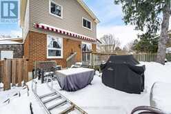 10 OLEANDER CRESCENT Brampton