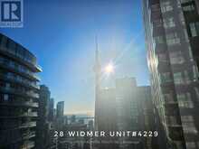 4229 - 28 WIDMER STREET Toronto