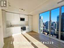 4229 - 28 WIDMER STREET Toronto