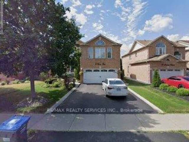 LOWER - 71 PERTOSA DRIVE Brampton Ontario