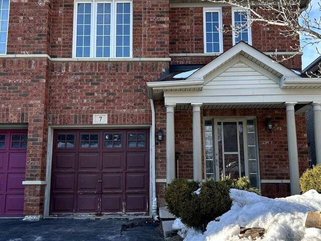 7 TANGLEMERE CRESCENT Brampton Ontario