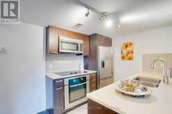 824 - 295 ADELAIDE STREET W Toronto