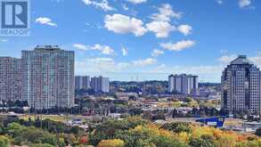 2401 - 225 VILLAGE GREEN SQUARE Toronto