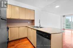 3011 - 763 BAY STREET Toronto