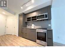 2507 - 135 EAST LIBERTY STREET E Toronto