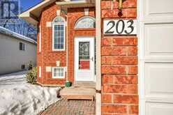 203 DYER DRIVE Wasaga Beach