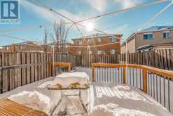 23 LONESTAR CRESCENT Brampton