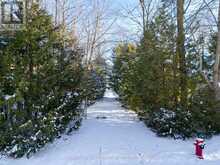 LOT 30 & PART LOT 29 PURVIS STREET Innisfil