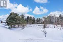 699 MOONSTONE ROAD E Oro-Medonte