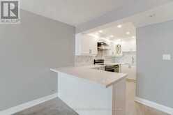 1008 - 195 WYNFORD DRIVE Toronto