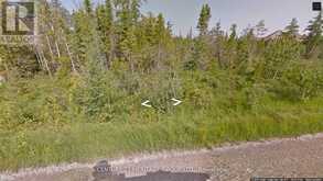 LOT 52 MCIVOR DRIVE Northern Bruce Peninsula