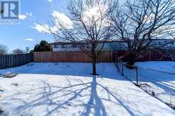 220 JOHN TABOR TRAIL Toronto