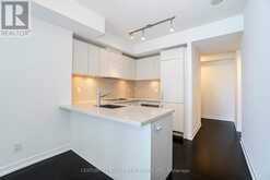 3701 - 21 WIDMER STREET Toronto