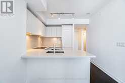 3701 - 21 WIDMER STREET Toronto