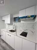 LOWER A - 24 DUNBOYNE COURT Toronto