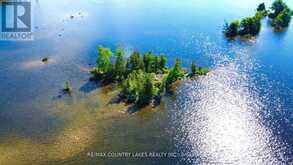 LT 1 ISLAND Kawartha Lakes