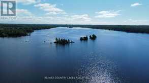 LT 1 ISLAND Kawartha Lakes