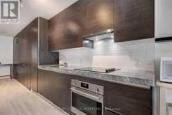 308 - 38 STEWART STREET Toronto