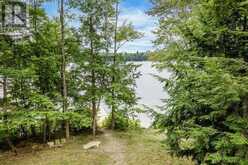 3-1058 WHITES ROAD Muskoka