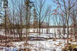 2322 N ORR LAKE ROAD Springwater