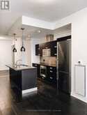 307 - 88 PARK LAWN ROAD Toronto