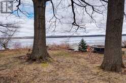 126 PINE POINT LANE Scugog