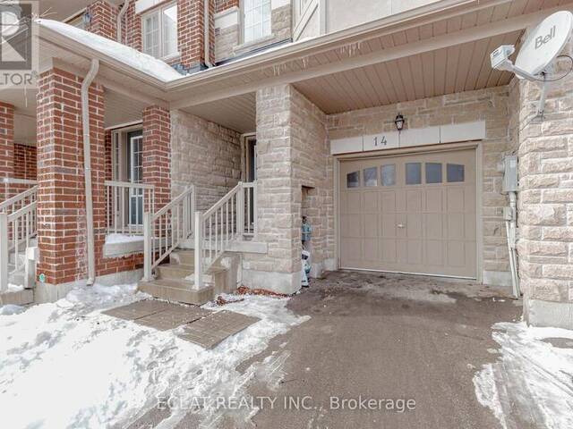 14 TOLLGATE STREET Brampton Ontario