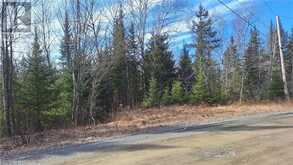 N/A NEPEWASSI LAKE Road Markstay-Warren