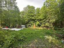 2820 GLAMOR LAKE Road Haliburton